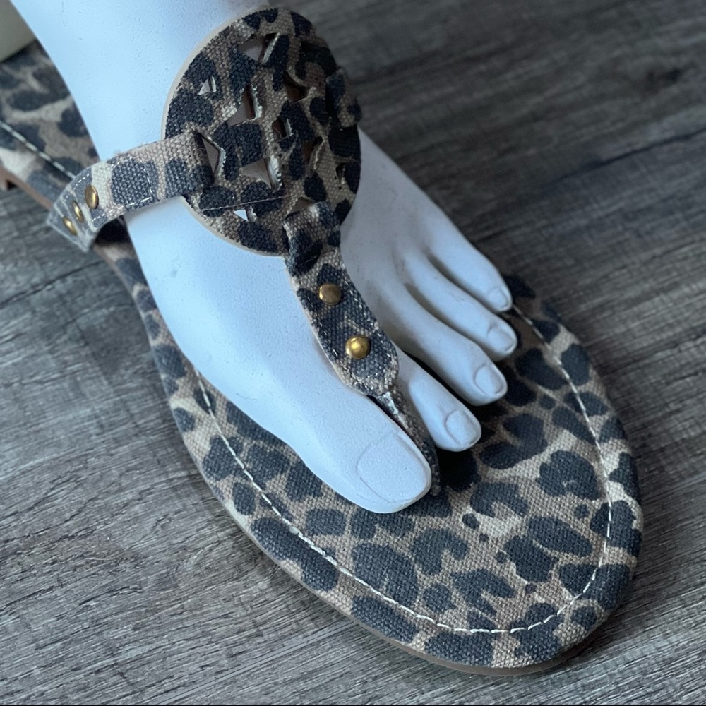 Brand New all sizes Medallion leopard Burch Sandal